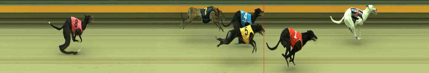 Race result finish photo